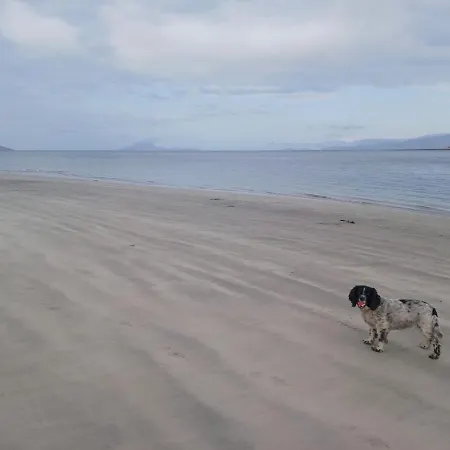 דירה Westport Riverlane Appt Knappagh