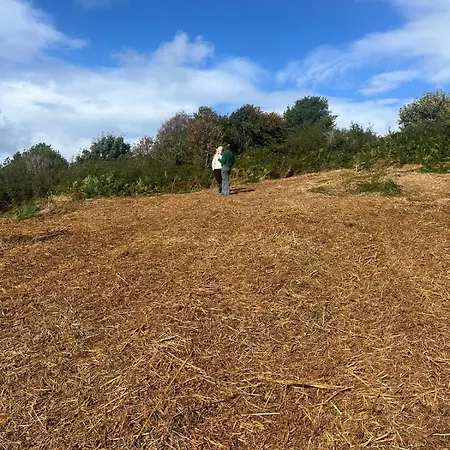 Westport Riverlane Appt