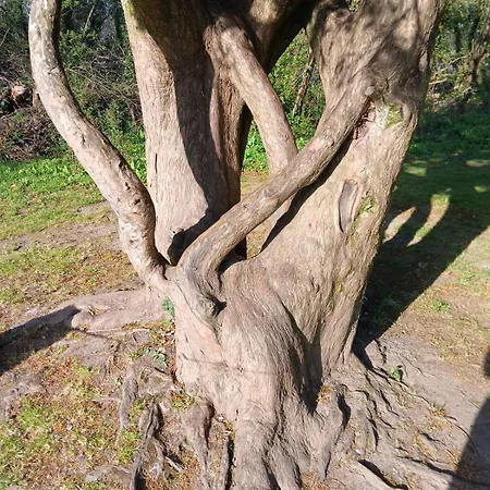 דירה Westport Riverlane Appt