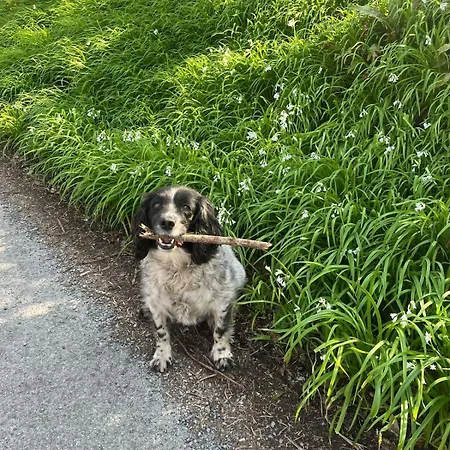 Westport Riverlane Appt Apartamento *