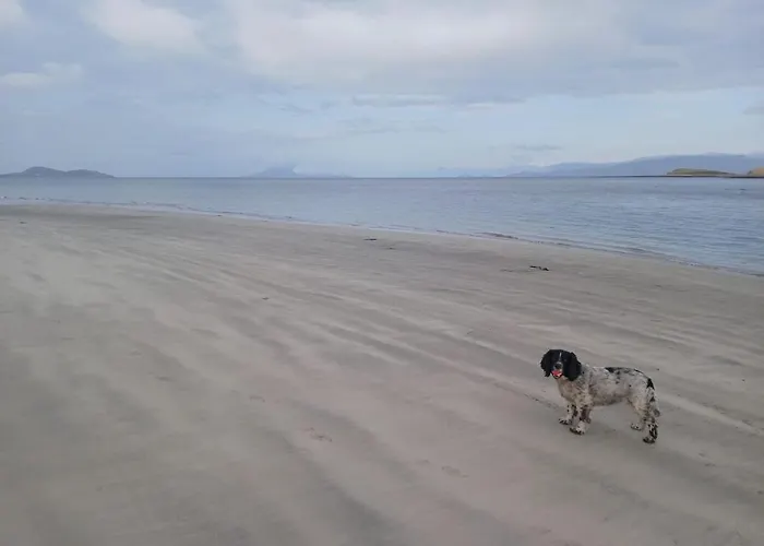 Daire Westport Riverlane Appt Knappagh