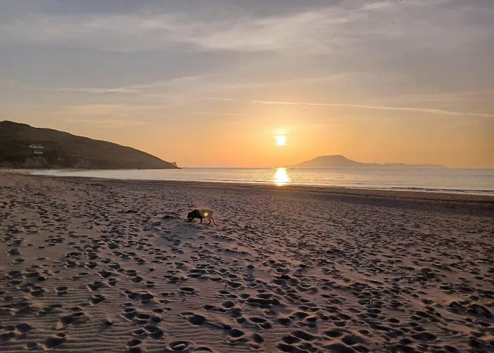 Daire Westport Riverlane Appt Knappagh