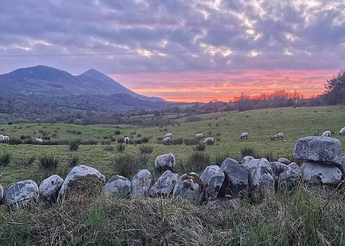 Westport Riverlane Appt Daire *